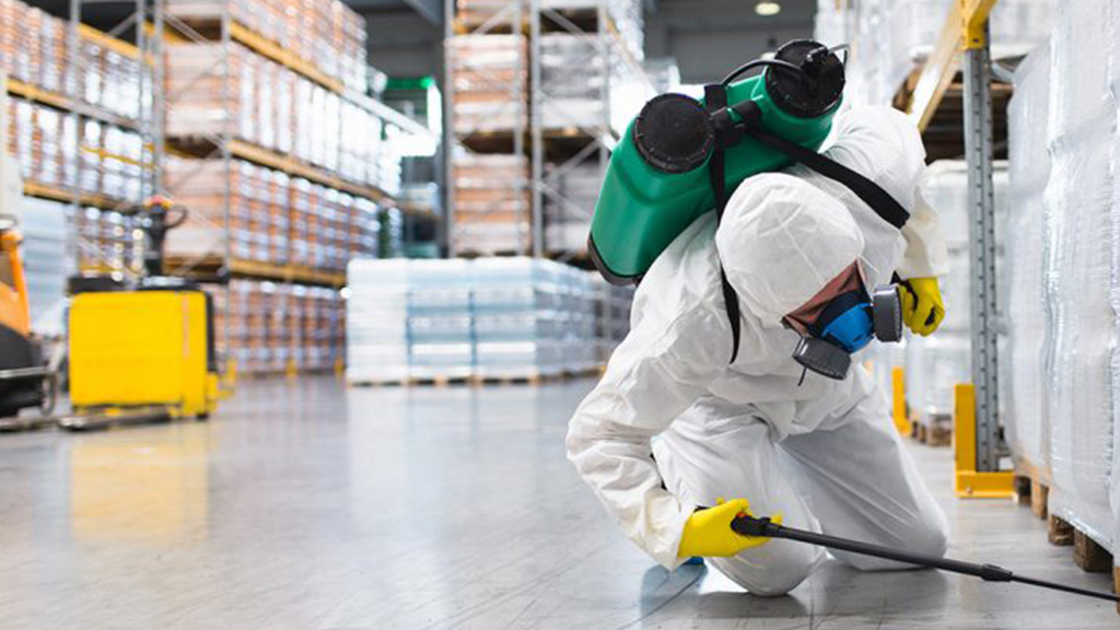 Exploring Pest Control Services Across the UAE by Perfection Cleaning